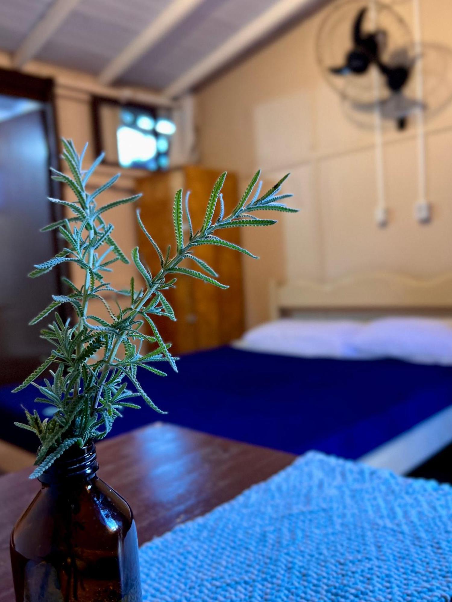 Hostel Antonio Pescador - Centro Da Гуарда-ду-Ембау Номер фото